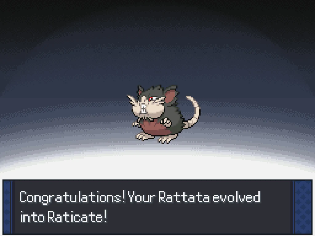A screenshot of Pokemon Rejuvenation showing that Rattata evolved into Raticate.