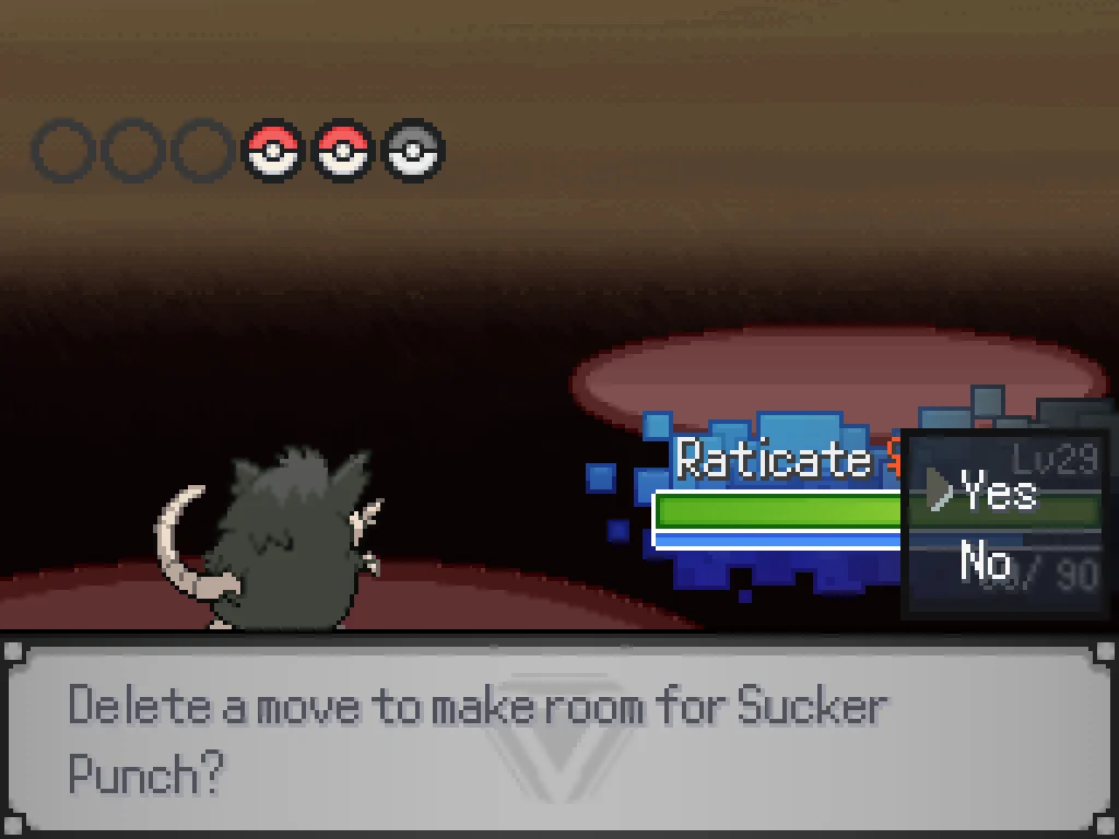 Raticate learning Sucker Punch.